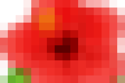 Trường Tiểu học Trịnh Xá – phường Liêm Tuyền tổ chức Lễ kỷ niệm 43 năm Ngày Nhà giáo Việt Nam