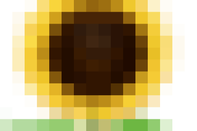 Trường tiểu học Trịnh Xá -, phường Liêm Tuyền tổ chức Giao lưu các Câu lạc bộ Âm nhạc – Mĩ thuật – Tiếng Anh