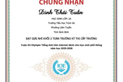 Trường Tiểu học Trịnh Xá vinh danh HS đạt giải IOE cấp trường năm học 2025-2026